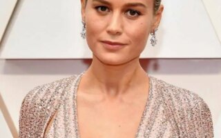 Brie Larson at 92nd Annual Academy Awards Oscars 2020 Red Carpet in LA
