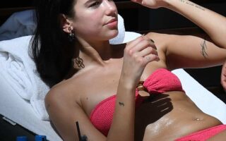 Dua Lipa Looked Breathtaking in a Tiny Pink Bikini while Sunbathing in Miami