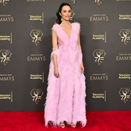 Abigail Spencer Graces Emmy Awards in Elegant Feathered Dress