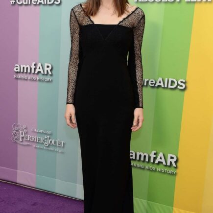 Alexandra Daddario Posing in Black Gown at the 2019 amfAR Gala