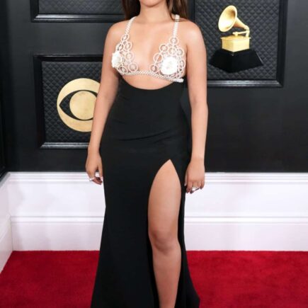 Camila Cabello Looks Impressive at 2023 Grammys in PatBO Dress