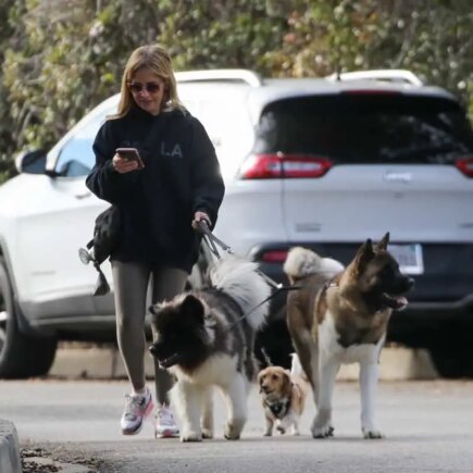 Sarah Michelle Gellar Sported a Casual Look while Walking her Dogs