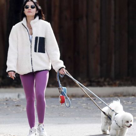 Lucy Hale Cuts a Relaxed Look as She Takes Her Dogs For a Walk in WeHo