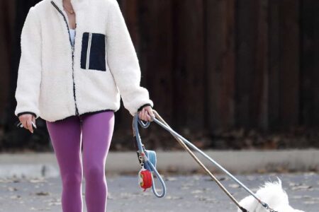 Lucy Hale Cuts a Relaxed Look as She Takes Her Dogs For a Walk in WeHo