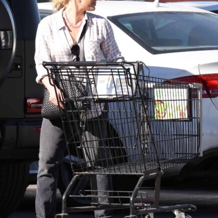 Hilary Duff Sported Casual Look During Shopping at Ralphs in Studio City