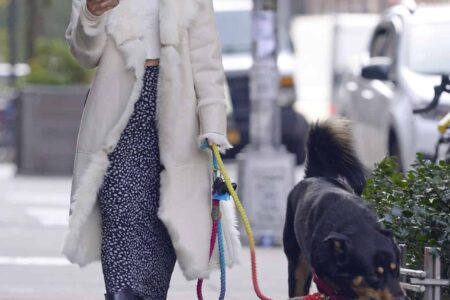 Emily Ratajkowski Sported a City Chic Look while Walking her Dog in NY