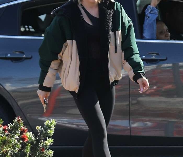 Hilary Duff Outside Trader Joe’s Grocery Store in LA