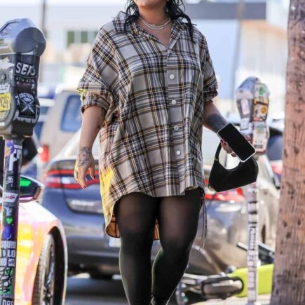 Demi Lovato Does Halloween Costume Shopping in West Hollywood