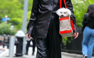 Olivia Palermo at the Park in Brooklyn with her Puppy