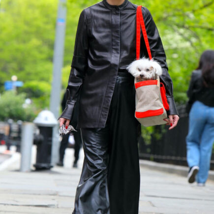 Olivia Palermo at the Park in Brooklyn with her Puppy