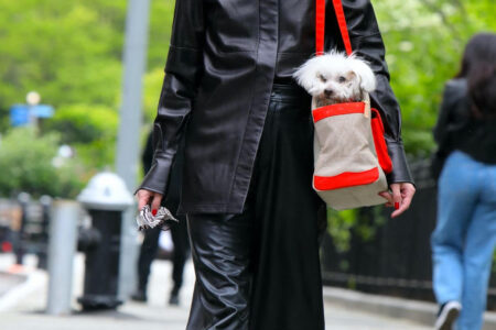 Olivia Palermo at the Park in Brooklyn with her Puppy