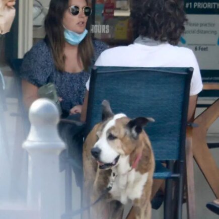 Leighton Meester and Adam Brody Enjoy a Break from Kids in Cafe
