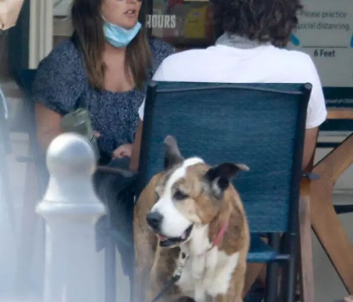 Leighton Meester and Adam Brody Enjoy a Break from Kids in Cafe