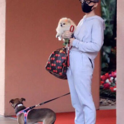 Kelly Osbourne in Sweatsuit Takes her Dogs to the Beverly Hills Hotel