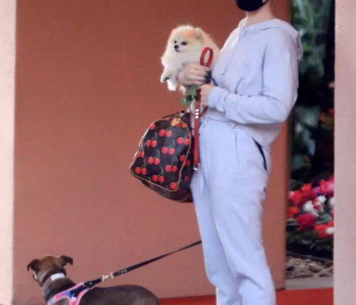 Kelly Osbourne in Sweatsuit Takes her Dogs to the Beverly Hills Hotel