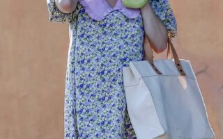 Pregnant Emma Roberts Looks Cute in Babydoll Dress in LA