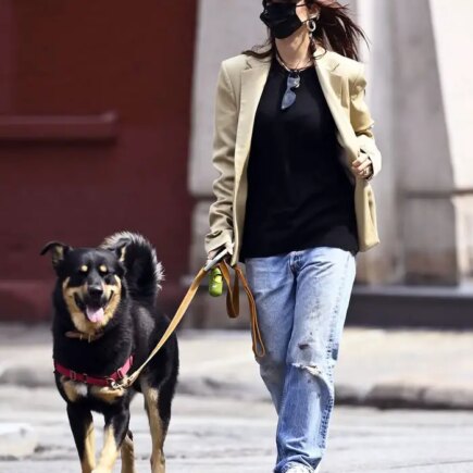 Emily Ratajkowski Embraces Chic Autumn Outfit while Walking her Dog