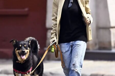 Emily Ratajkowski Embraces Chic Autumn Outfit while Walking her Dog