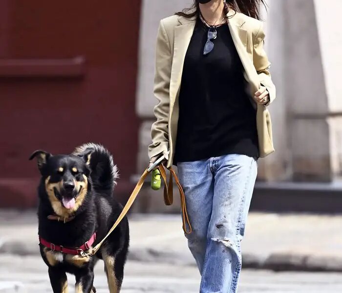 Emily Ratajkowski Embraces Chic Autumn Outfit while Walking her Dog