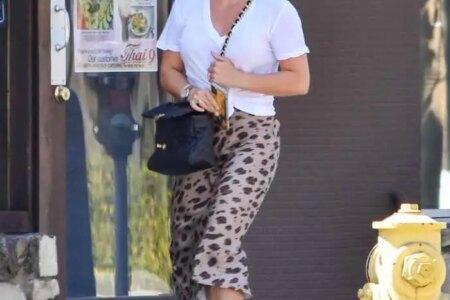 Hilary Duff Rocked a Punk Look as She Picks Up the Lunch in LA
