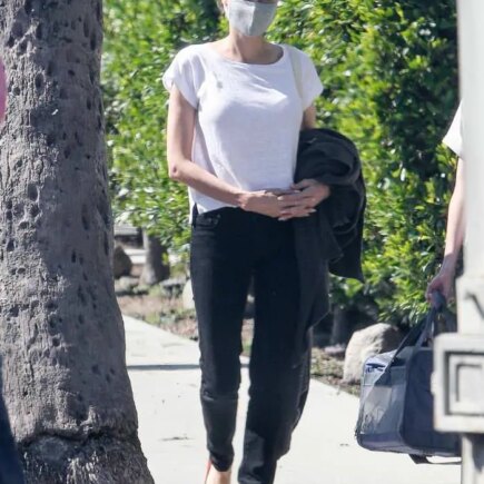 Angelina Jolie Rocks a Casual Look while Taking her Daughter to a Pet Store