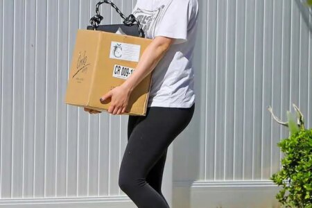 Ariel Winter Carried Heavy Cardboard Box as she Runs Errands in LA