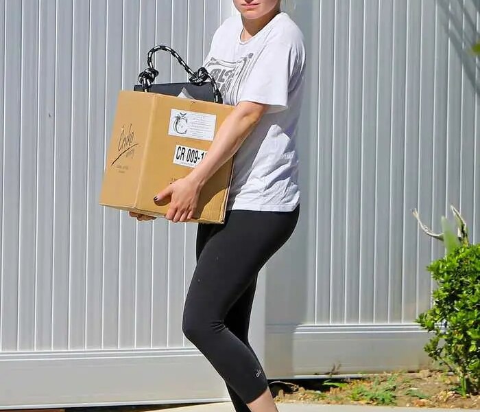 Ariel Winter Carried Heavy Cardboard Box as she Runs Errands in LA
