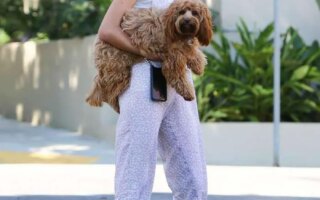 Alessandra Ambrosio in a Loose-fitting Jumpsuit Carries her Doggy