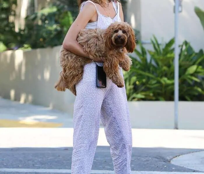 Alessandra Ambrosio in a Loose-fitting Jumpsuit Carries her Doggy