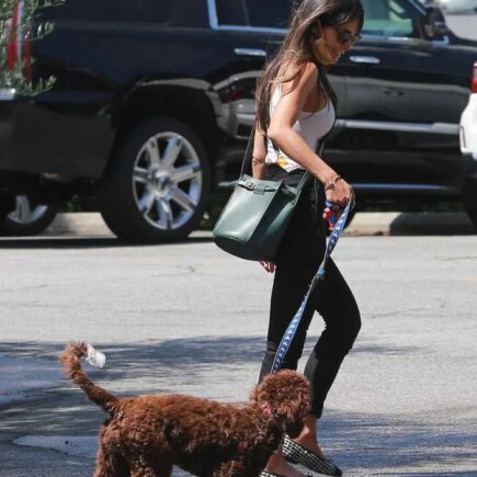 Jordana Brewster Glows While Out Walking her Dog in Santa Monica