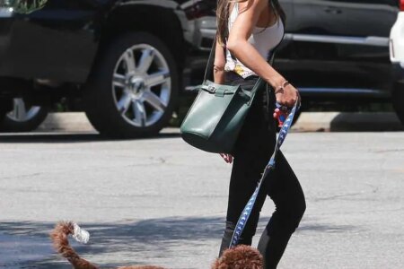 Jordana Brewster Glows While Out Walking her Dog in Santa Monica