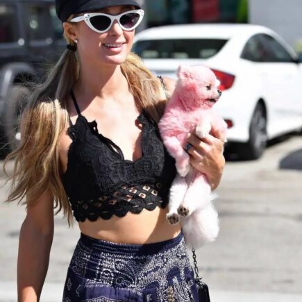 Paris Hilton Flashes Skin as She Was Shopping in Malibu