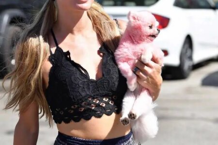 Paris Hilton Flashes Skin as She Was Shopping in Malibu