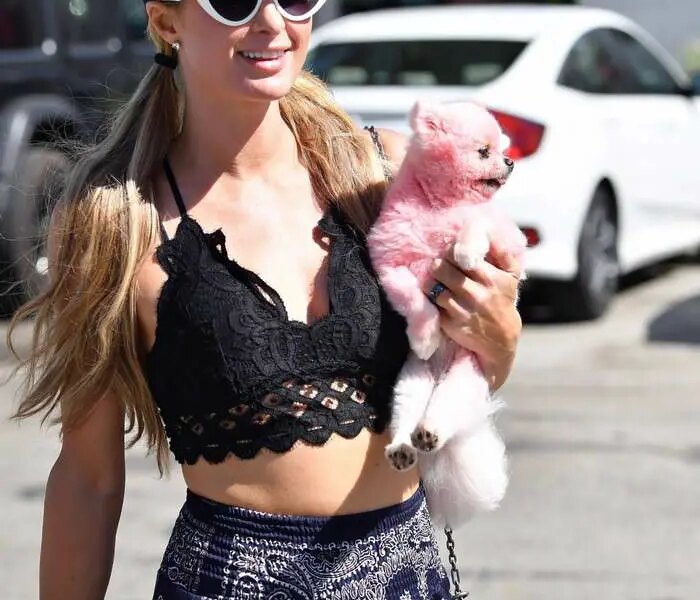 Paris Hilton Flashes Skin as She Was Shopping in Malibu