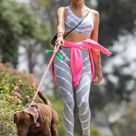 Alessandra Ambrosio in a Gray Sports Bra Hiking With her Dog