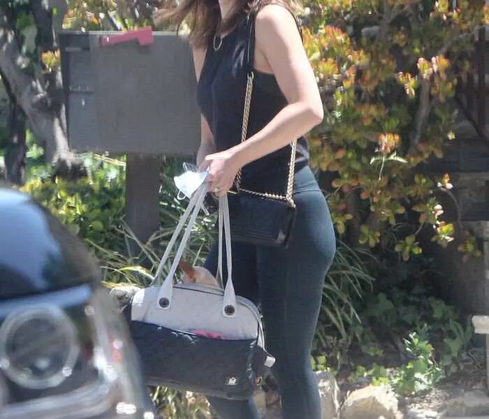Katharine McPhee Stepped Out to Run Some Errands in LA