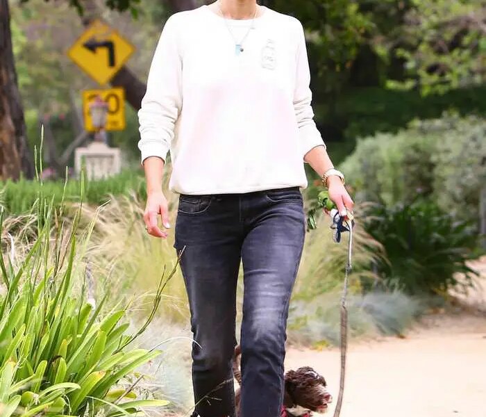 Jordana Brewster Steps Out for a Walk With her Dog in LA