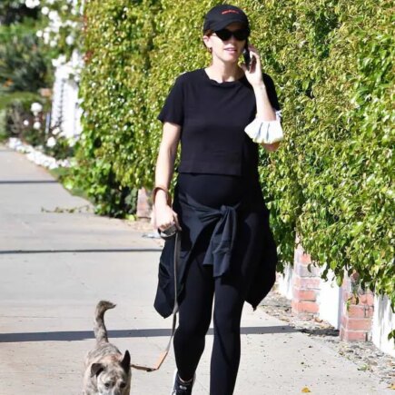 Katherine Schwarzenegger Displays Baby Bump as she Walks her Dog in LA