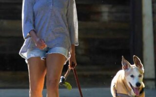 Regina King Enjoys Fresh Air While Taking her Dog for a Walk in LA