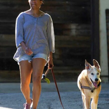 Regina King Enjoys Fresh Air While Taking her Dog for a Walk in LA