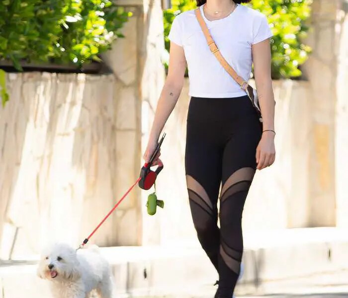 Lucy Hale in Leggings as She Takes the Dog on a Walk Through LA