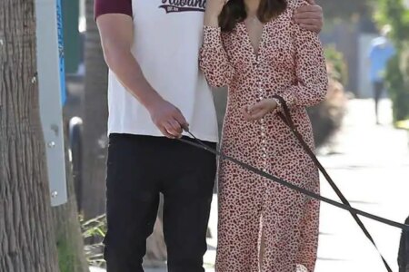 Ana De Armas and Ben Affleck Walked Their Dogs Through Venice