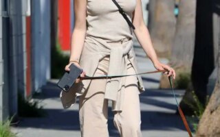 Ana de Armas Enjoys a Solo Walk With Her Dog in LA