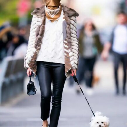 Olivia Palermo Looking Chic While Walking her Dog