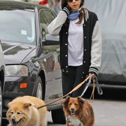 Aubrey Plaza Gets a Breath of Fresh Air While Walking Her Dogs