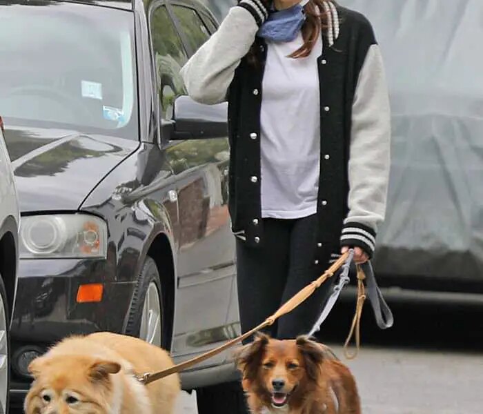 Aubrey Plaza Gets a Breath of Fresh Air While Walking Her Dogs