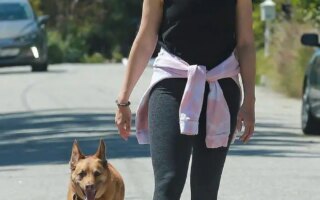 Mandy Moore and Taylor Goldsmith Walking Their Dog in LA