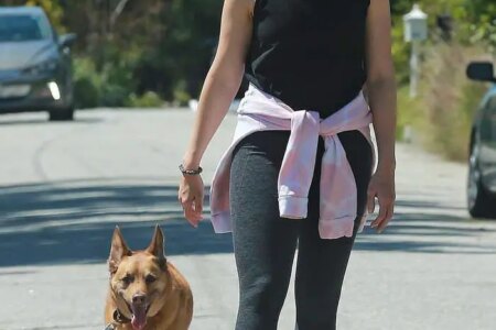 Mandy Moore and Taylor Goldsmith Walking Their Dog in LA