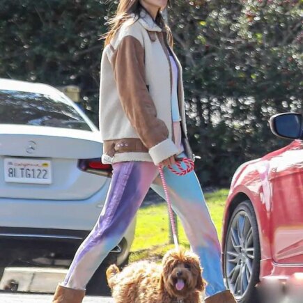 Alessandra Ambrosio Dog Walk Around Her Santa Monica Neighborhood