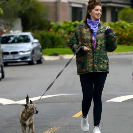 Katherine Schwarzenegger and Maria Shriver Walk Their Dogs in LA